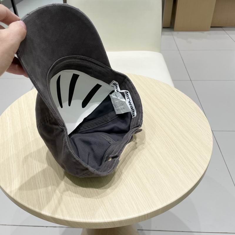 Alexander Wang cap (11)