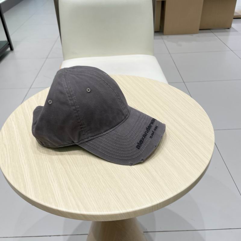 Alexander Wang cap (17)