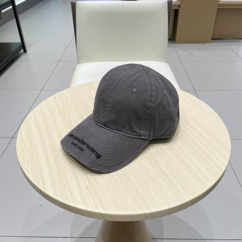 Alexander Wang cap (18)