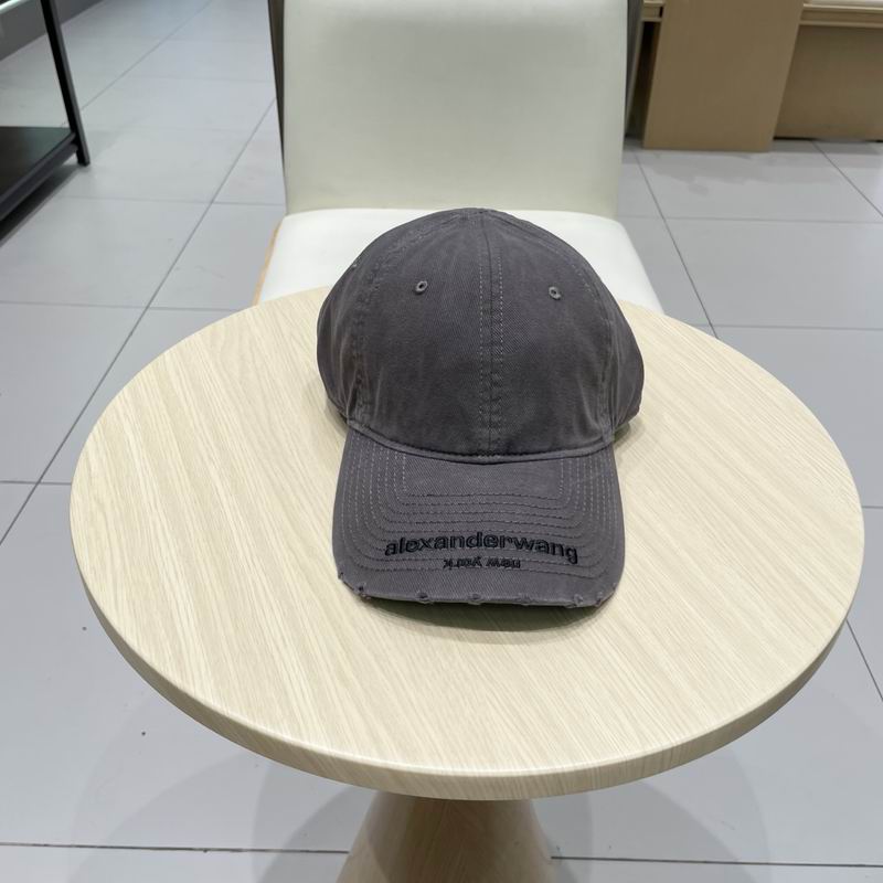 Alexander Wang cap (19)