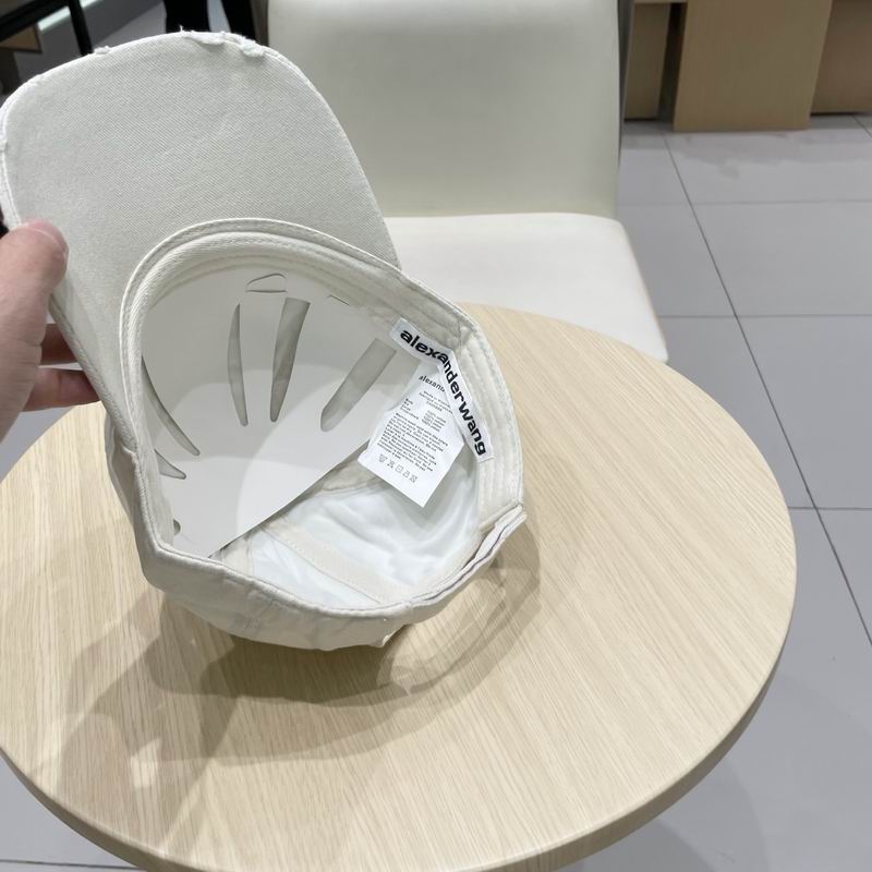 Alexander Wang cap (2)