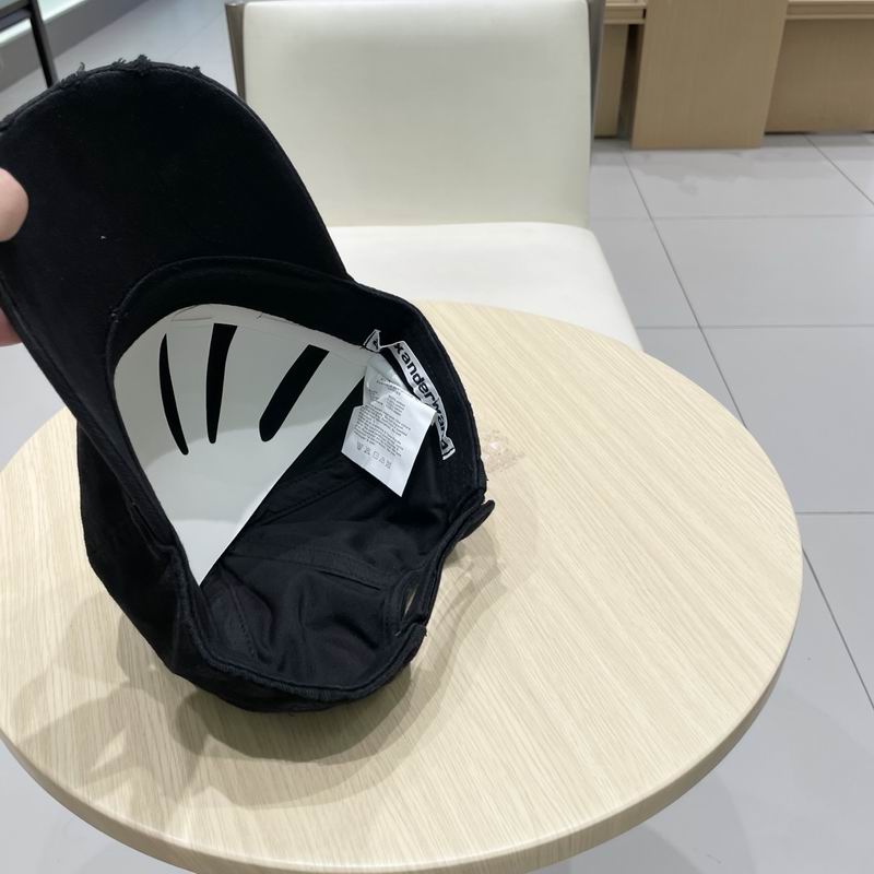 Alexander Wang cap (21)
