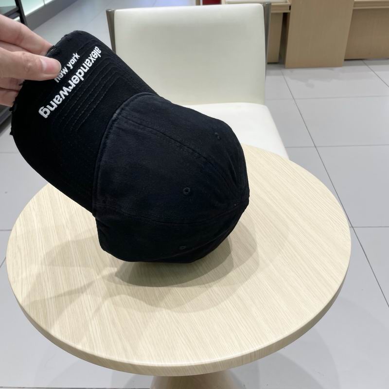 Alexander Wang cap (23)