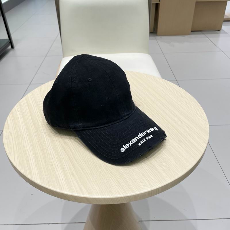 Alexander Wang cap (27)