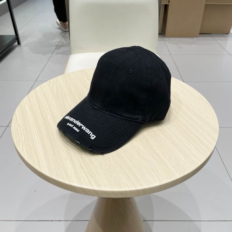 Alexander Wang cap (28)