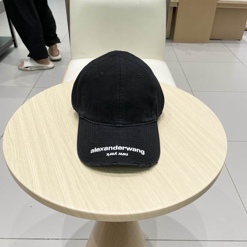 Alexander Wang cap (29)