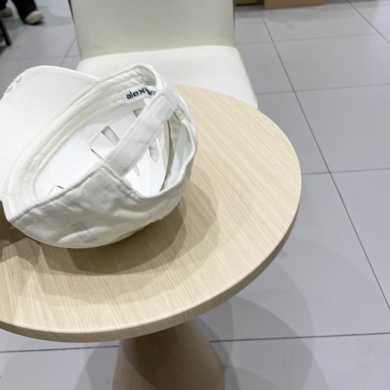 Alexander Wang cap (3)
