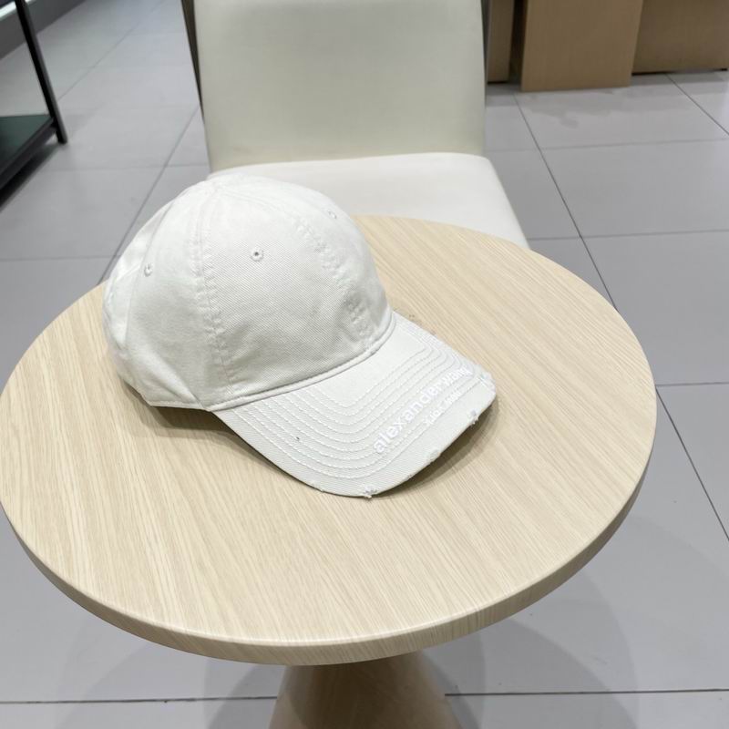 Alexander Wang cap (8)