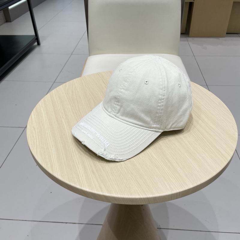 Alexander Wang cap (9)