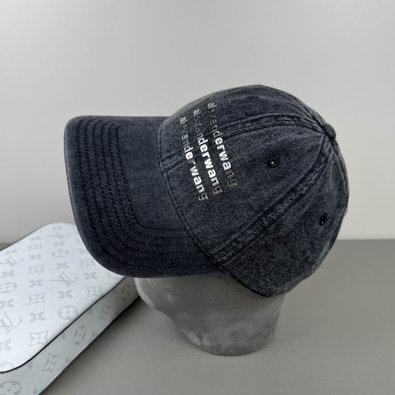 Alexander Wang cap dx (17)
