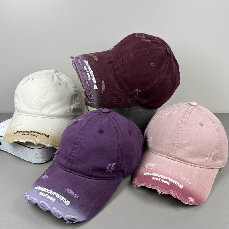 Alexander Wang cap dx (22)