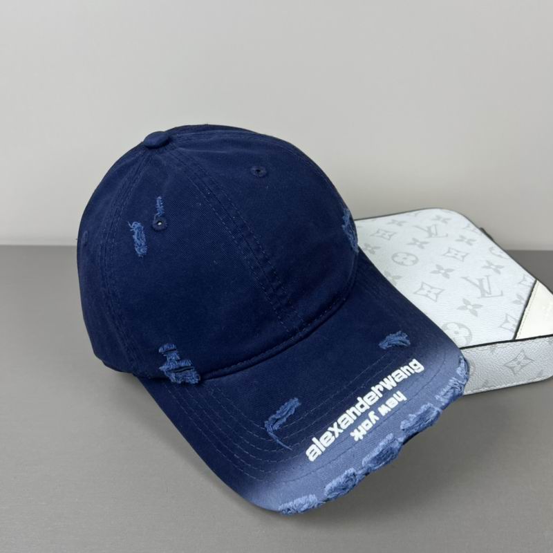 Alexander Wang cap dx (25)