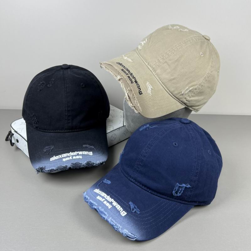 Alexander Wang cap dx (28)