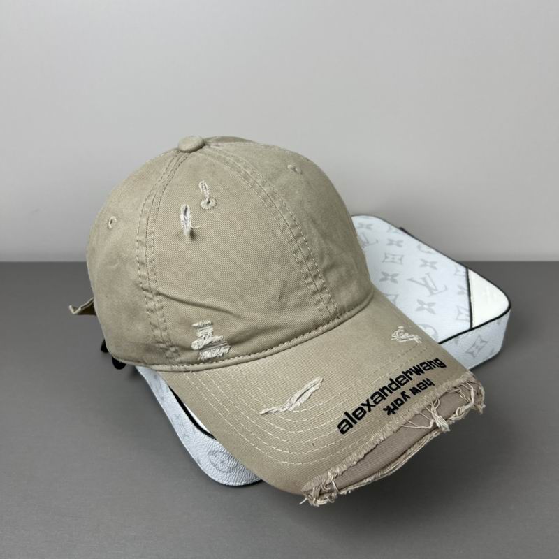 Alexander Wang cap dx (29)