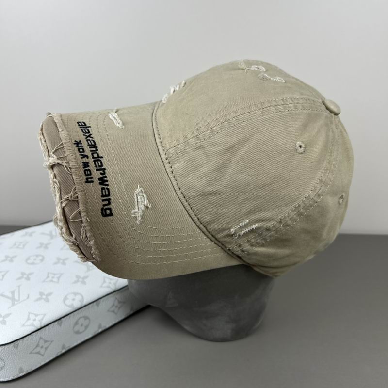 Alexander Wang cap dx (31)