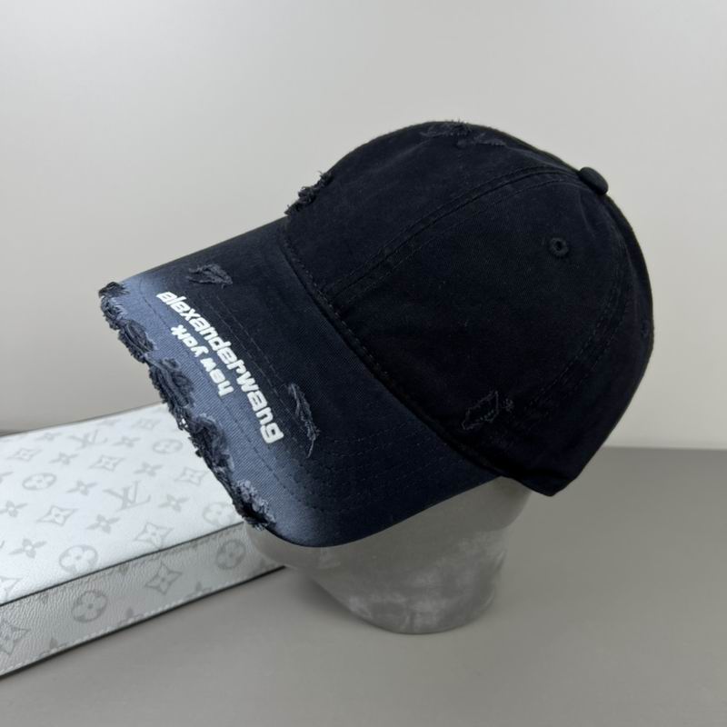 Alexander Wang cap dx (32)