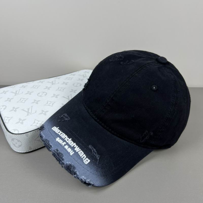 Alexander Wang cap dx (34)