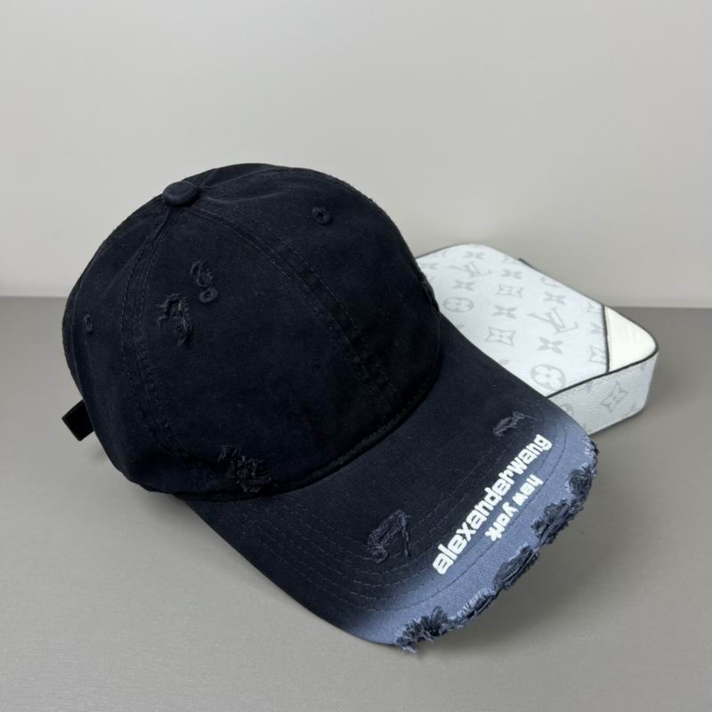 Alexander Wang cap dx (35)