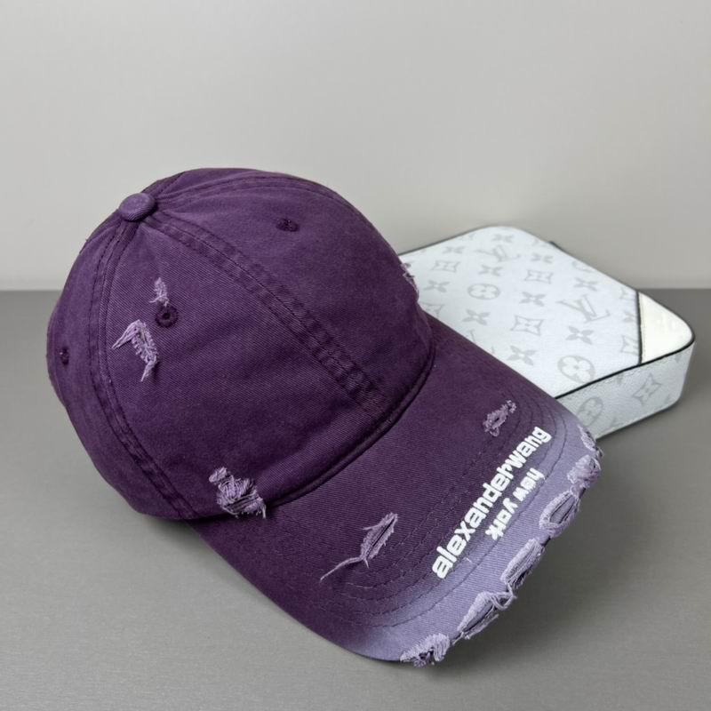 Alexander Wang cap dx (38)