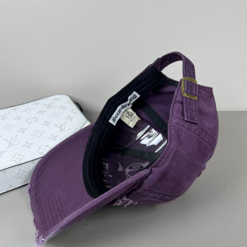 Alexander Wang cap dx (39)