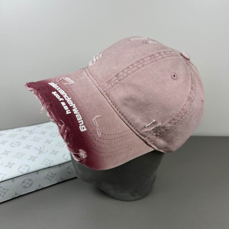 Alexander Wang cap dx (43)