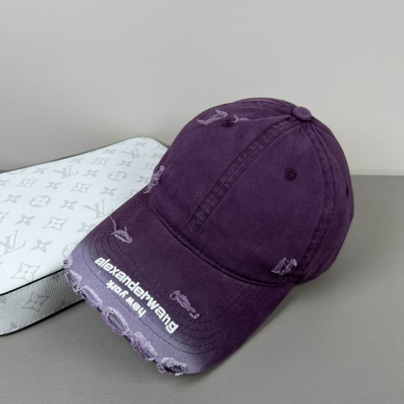 Alexander Wang cap dx (44)