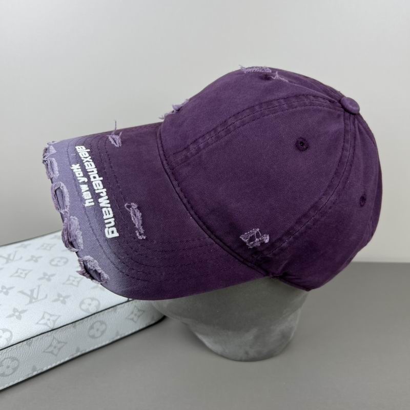 Alexander Wang cap dx (45)
