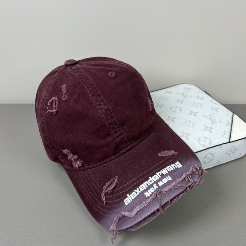 Alexander Wang cap dx (47)
