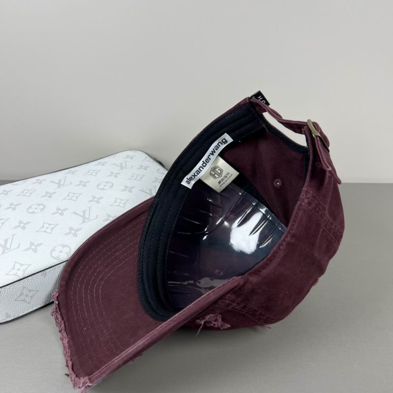Alexander Wang cap dx (48)