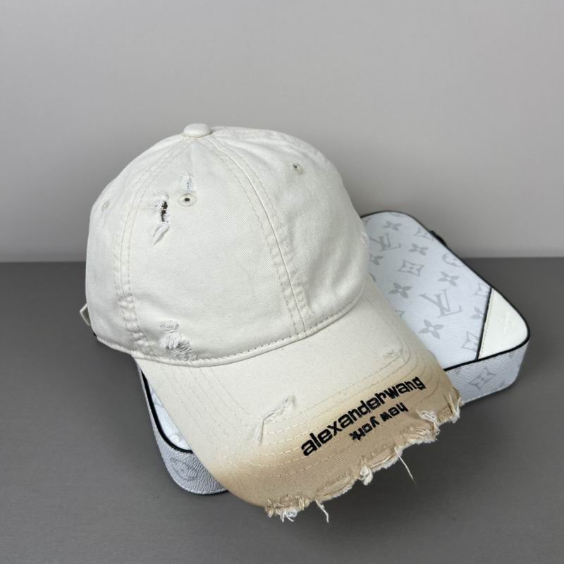 Alexander Wang cap dx (49)