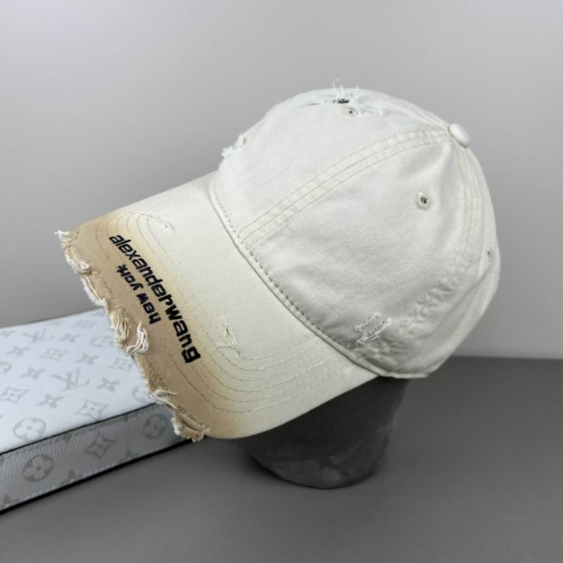 Alexander Wang cap dx (51)