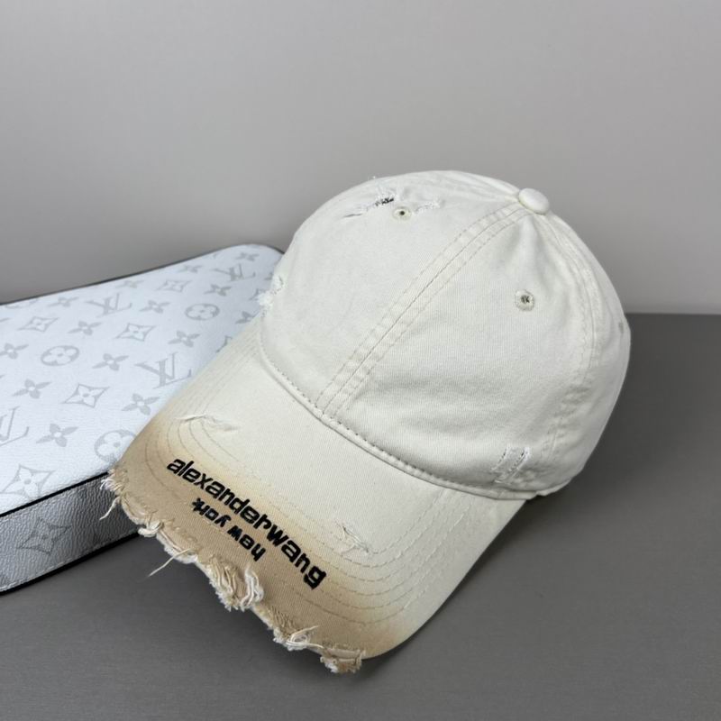 Alexander Wang cap dx (52)
