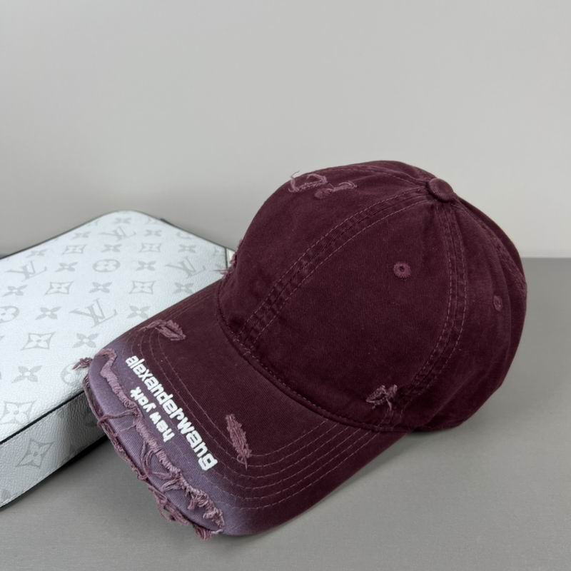 Alexander Wang cap dx (53)