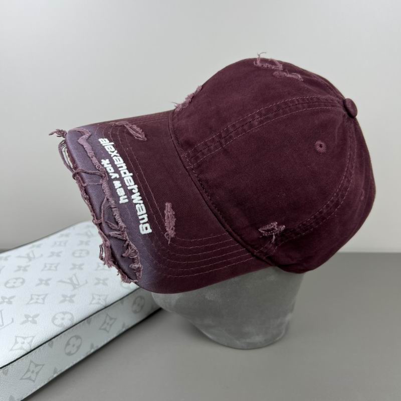 Alexander Wang cap dx (54)
