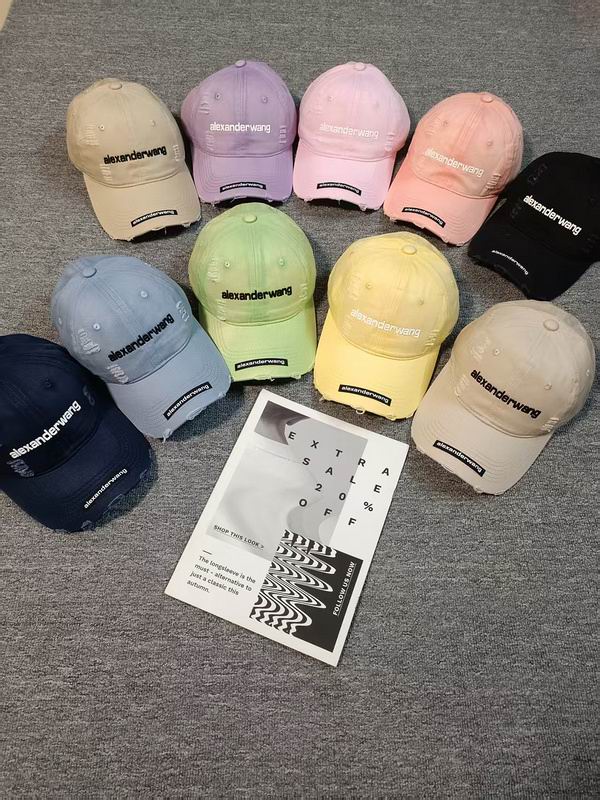 Alexander Wang cap hm (1)