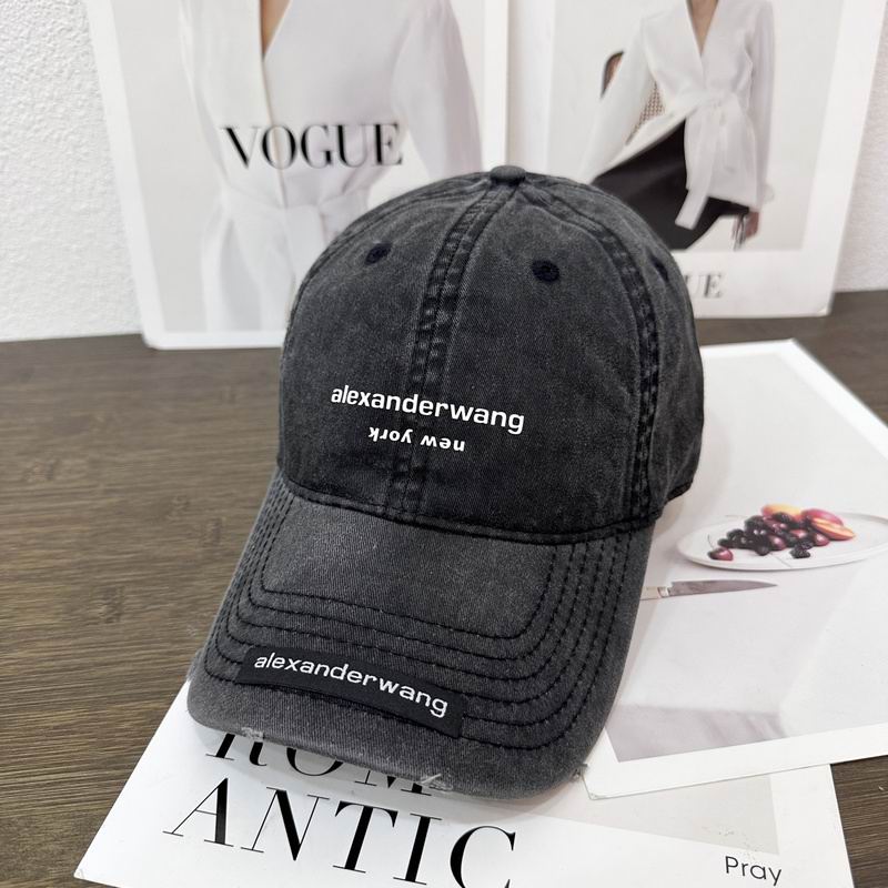Alexander Wang cap hm (10)