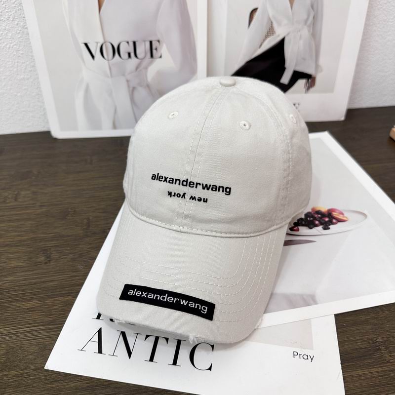 Alexander Wang cap hm (12)