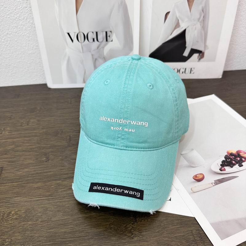 Alexander Wang cap hm (13)