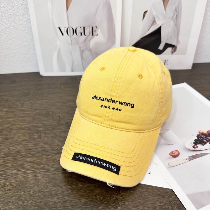 Alexander Wang cap hm (14)