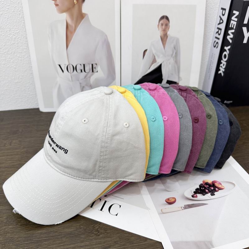 Alexander Wang cap hm (16)