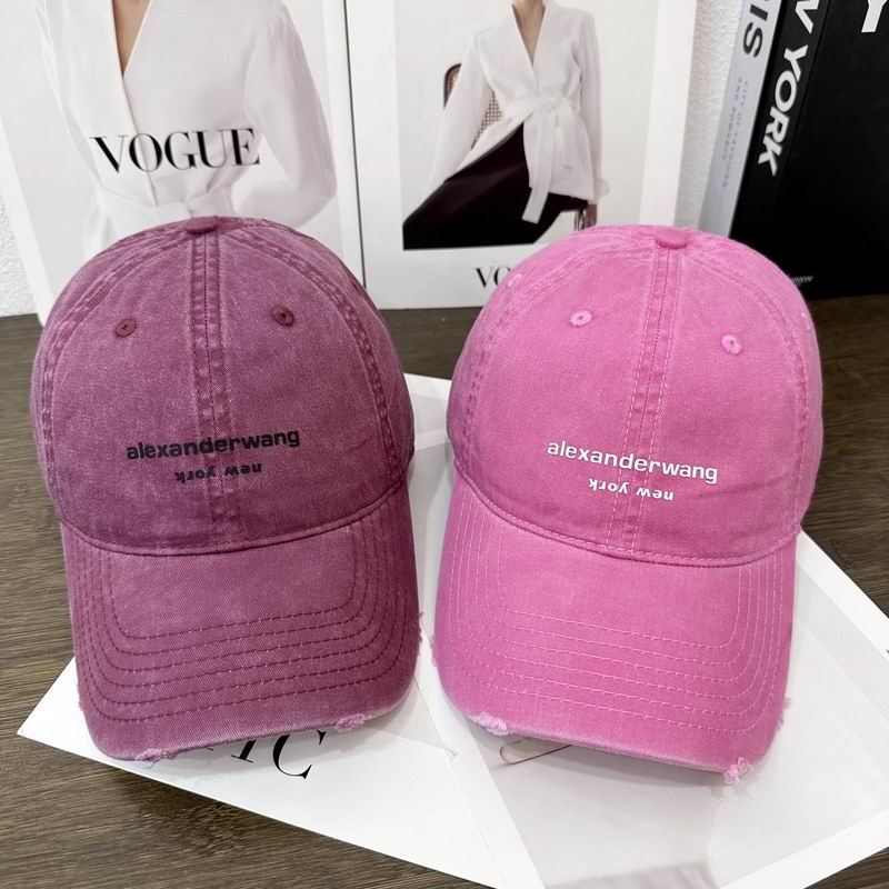 Alexander Wang cap hm (17)