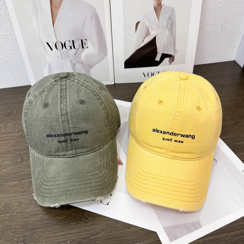 Alexander Wang cap hm (18)