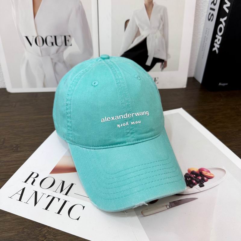 Alexander Wang cap hm (19)