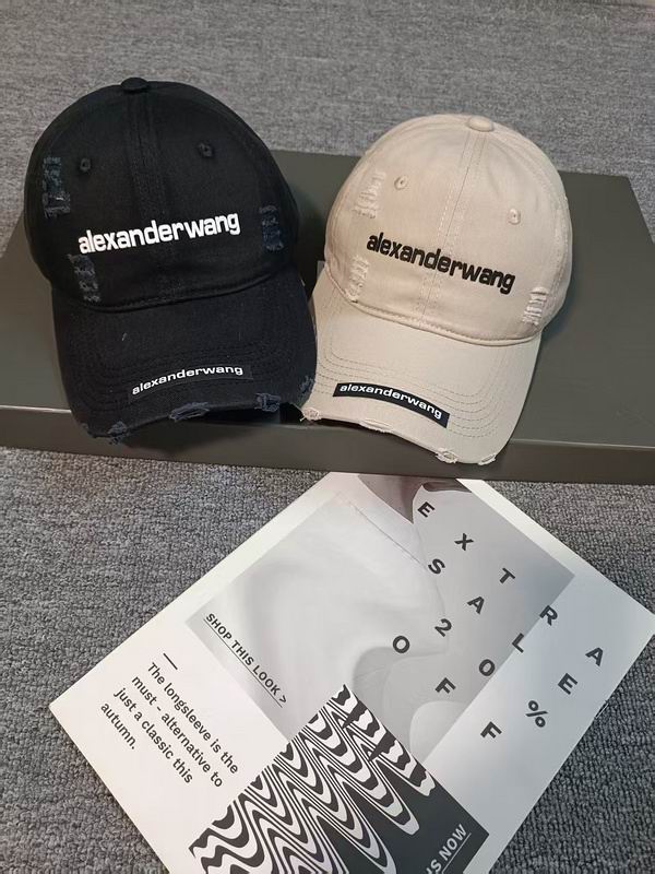 Alexander Wang cap hm (2)