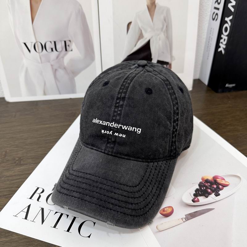 Alexander Wang cap hm (20)