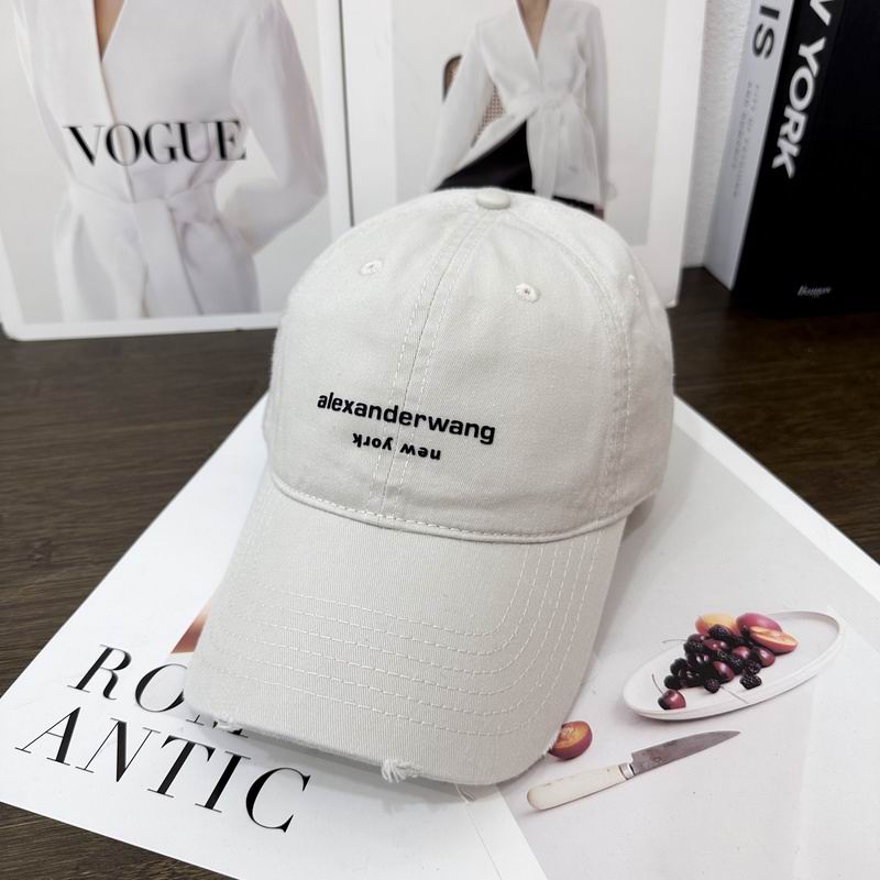 Alexander Wang cap hm (21)