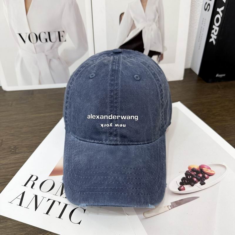 Alexander Wang cap hm (22)