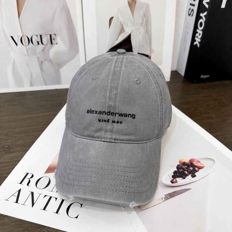 Alexander Wang cap hm (23)