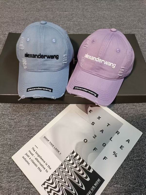 Alexander Wang cap hm (3)
