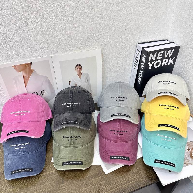 Alexander Wang cap hm (6)